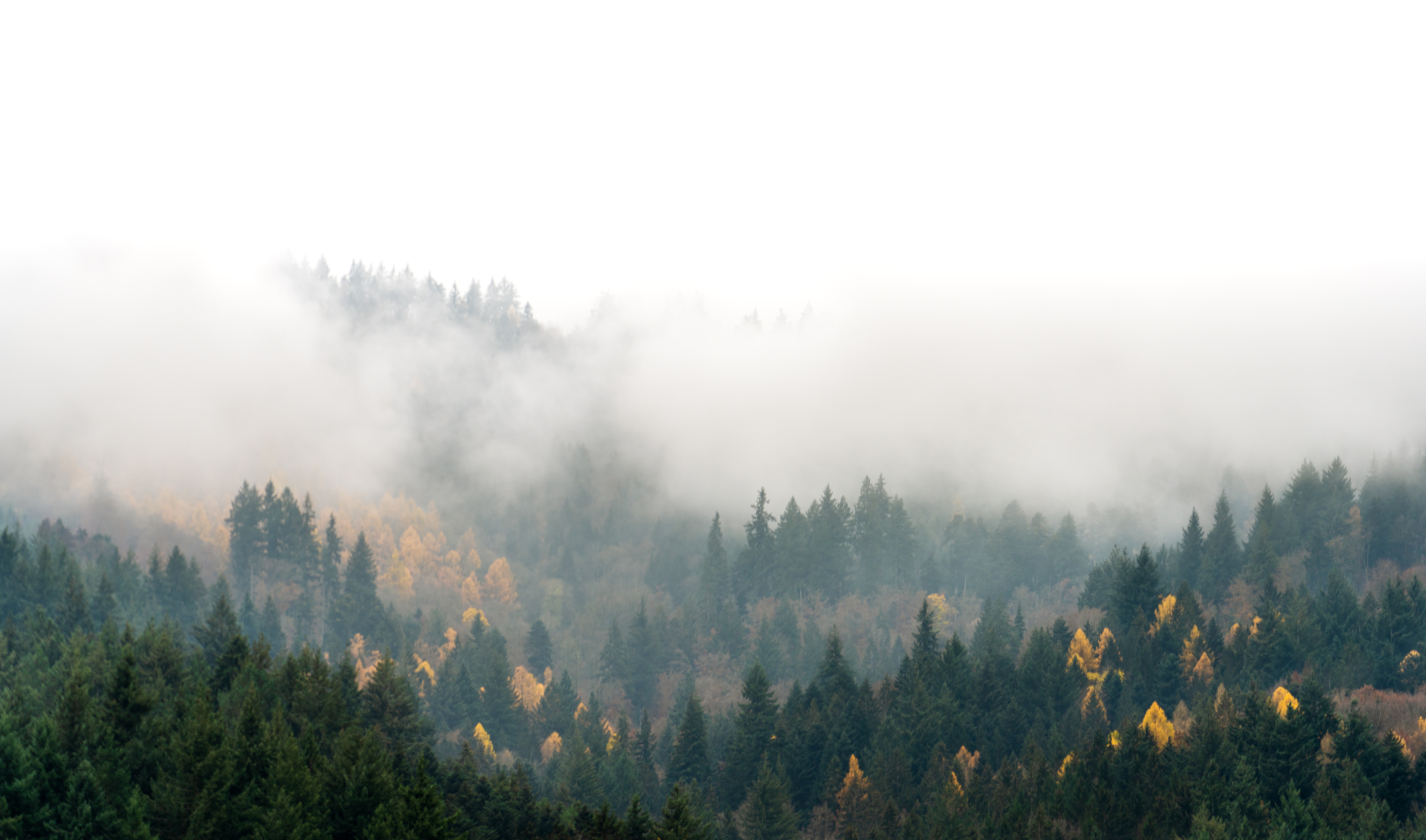 unsplash